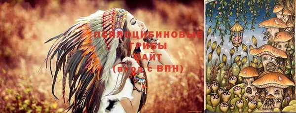 шишки Абинск