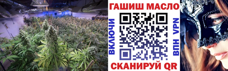 darknet наркотические препараты  Новосиль  Дистиллят ТГК THC oil  магазин продажи наркотиков 